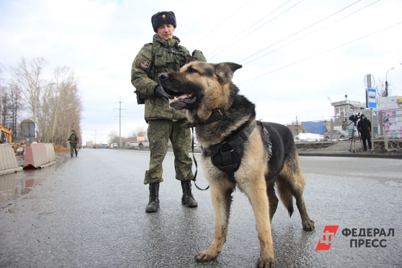 Патруль с собакой