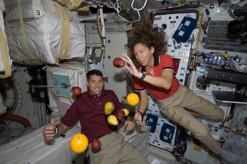 Мистическая орбита: что необычного видели и слышали космонавты во время  работы на МКС | Москва | ФедералПресс