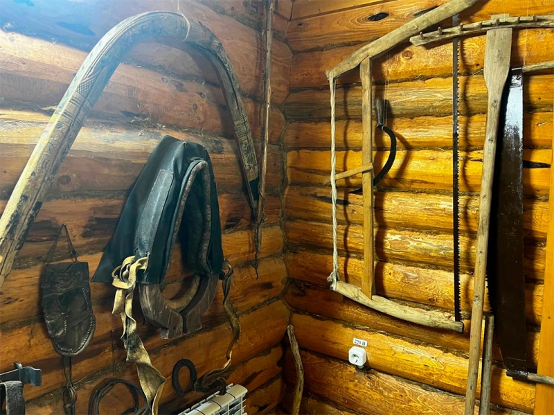 В арктических городах строили особенные дома, а жители занимались уникальными промыслами