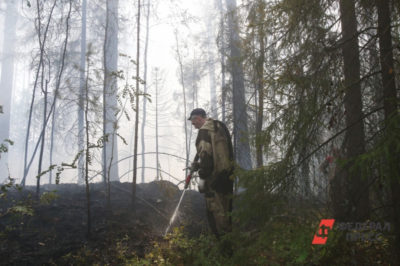 Пожарные уже борются с первыми очагами в лесу