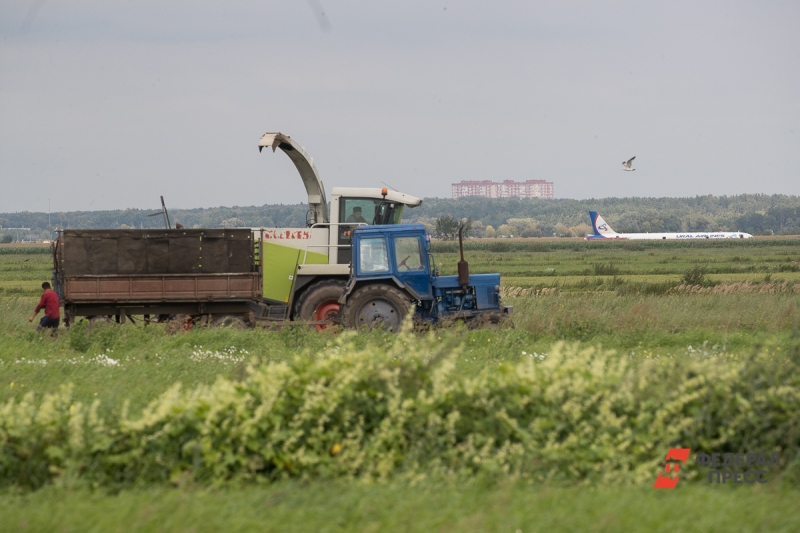 Трактор на поле собирает урожай