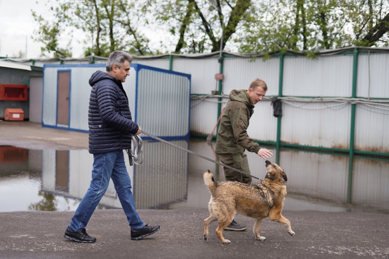 Алексей Нечаев помог приюту в питомнике для бездомных кошек и собак в Бирюлево