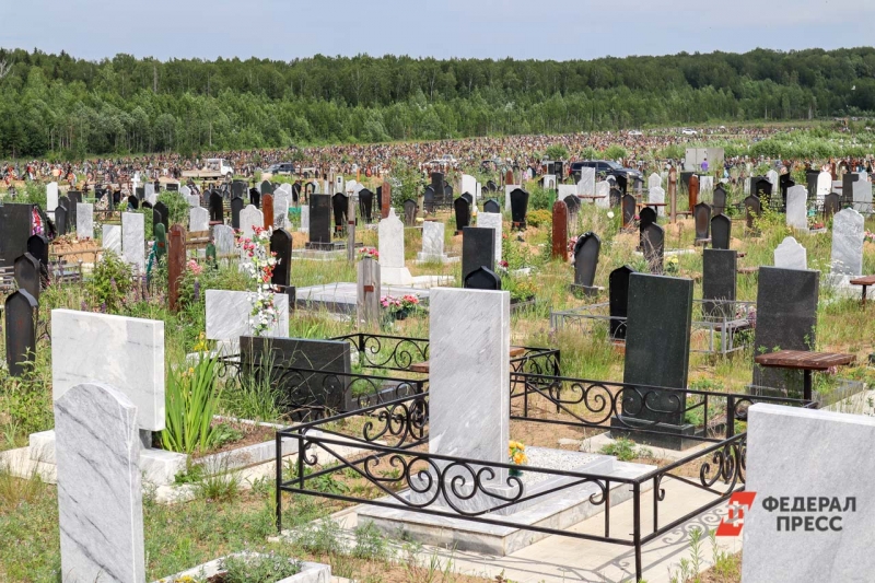 Кладбище в Вологодской области