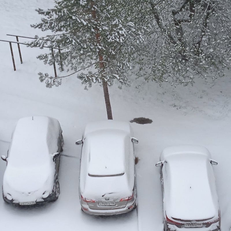 Ночью в Екатеринбурге и пригородах выпал снег