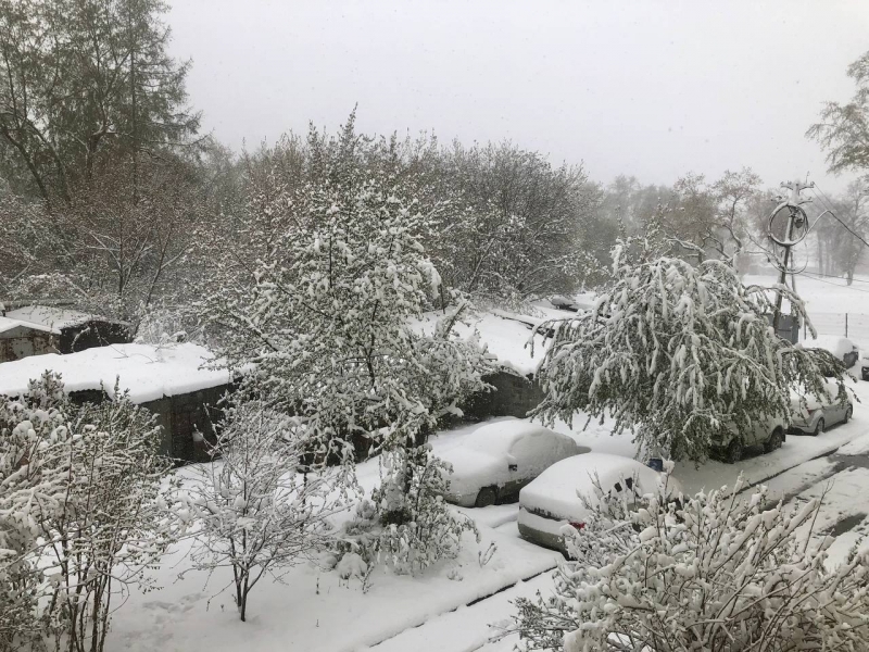 Екатеринбург завалило майским снегом