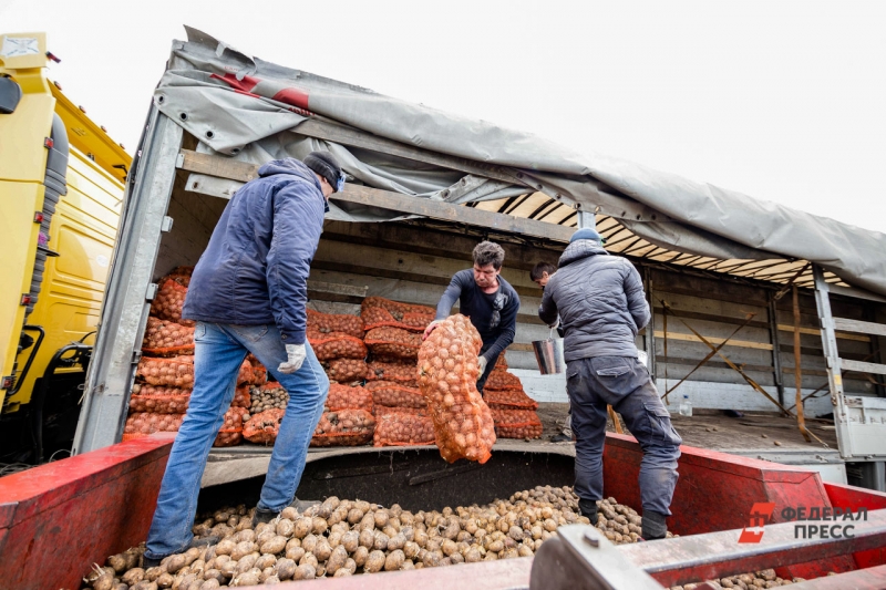 Сельское хозяйство является одной из важных отраслей в экономике Новгородской области