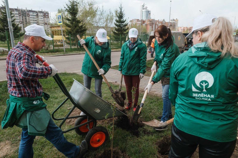 Акция «Зеленая волна», объединяет волонтеров, занимающихся благоустройством городских пространств