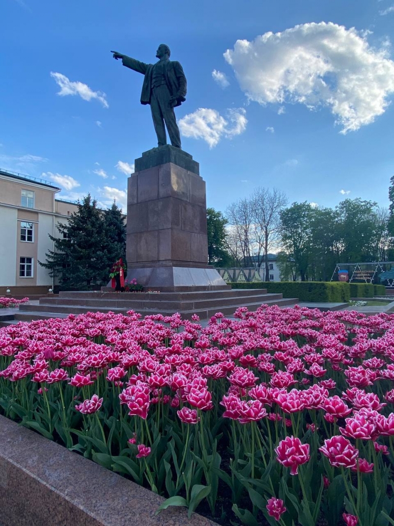 Брест утопает в тюльпанах