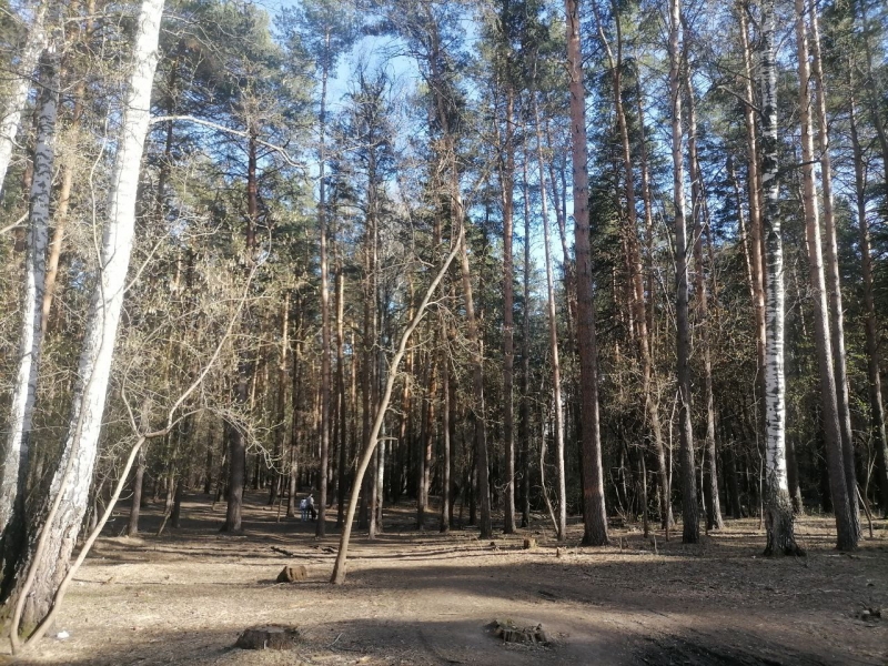 В Новосибирске благоустроили разные парки