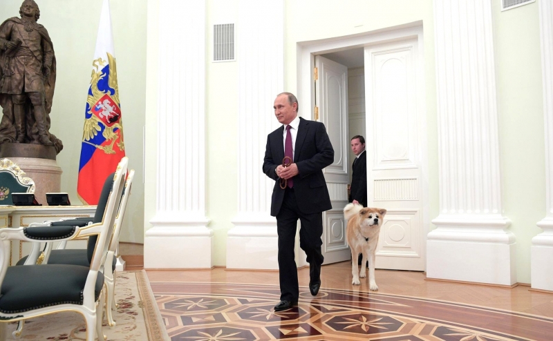 Владимир Путин и акита-ину Юмэ