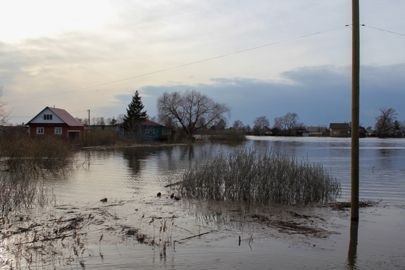 Большая вода надвигается на Нижневартовск со стороны Новосибирска: прогноз и риски