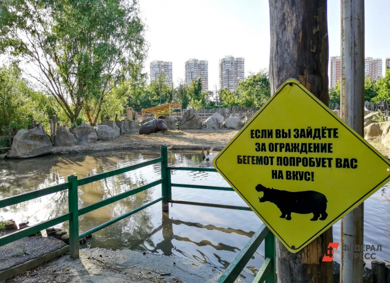 Зоопарк в Бахчисарае спасет зверей от жары с помощью душа