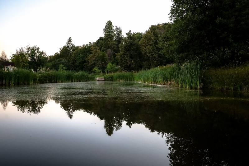 Вода