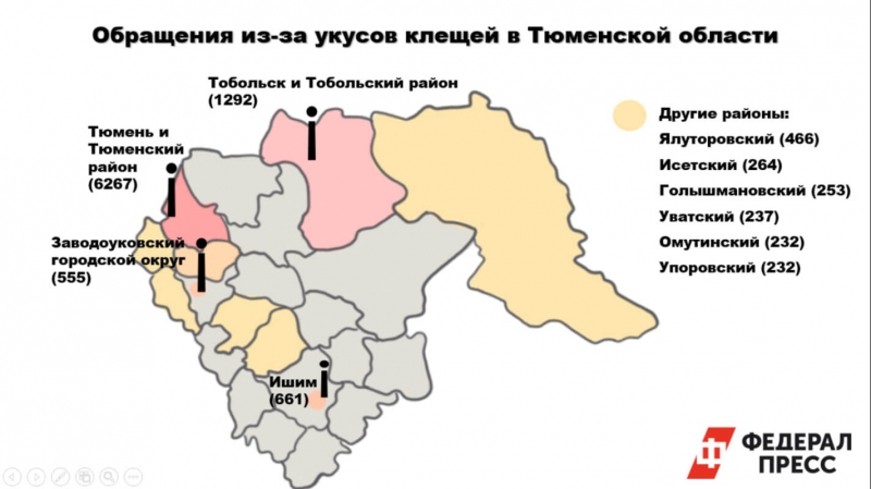 На конец мая число укушенных детей было значительно меньше