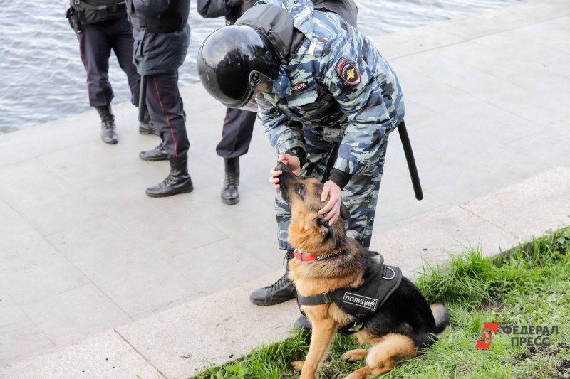 Силовики с собакой