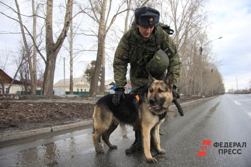 Кинологи соревновались в служебных дисциплинах