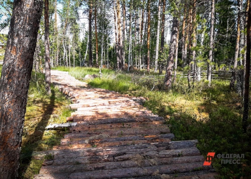 Тюменские власти хотят завести туристическую тропу в Уватский район