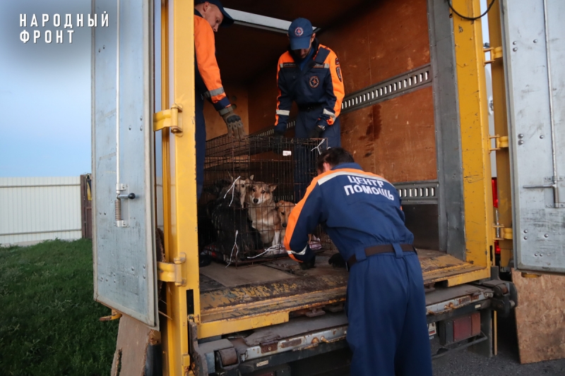 Волонтерами склада сформировано и передано нуждающимся более 20 тысяч гуманитарных наборов