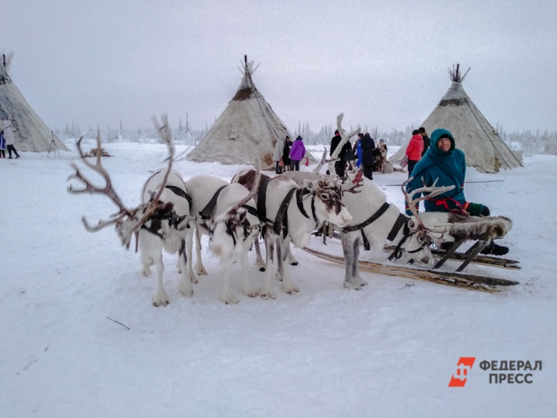 Призывники на АГС могут служить на самых разных должностях: от уборщика и повара до врача и оленевода