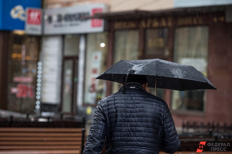 Москву ждет дождливое начало недели