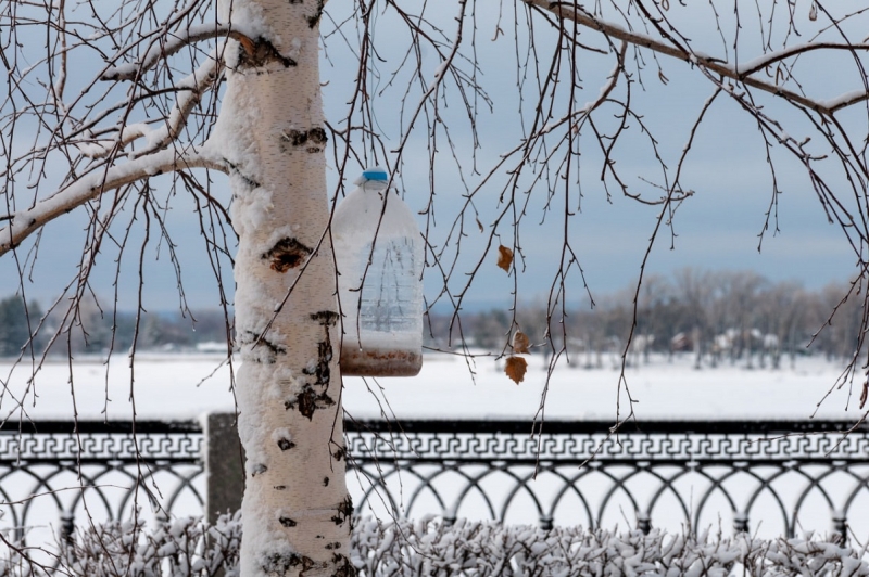 Снова потеплее на Среднем Урале