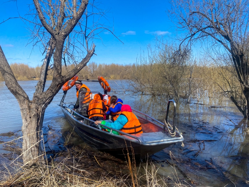 Паводок