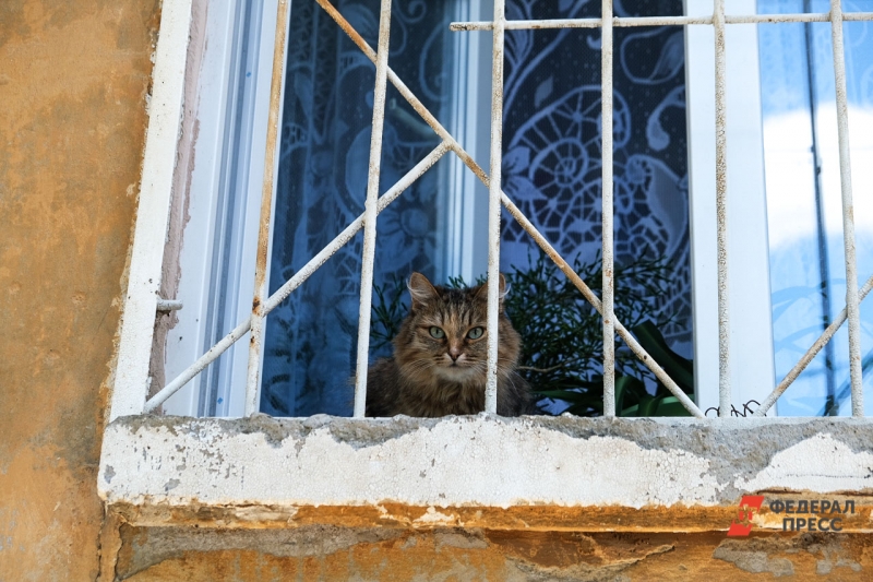 окно