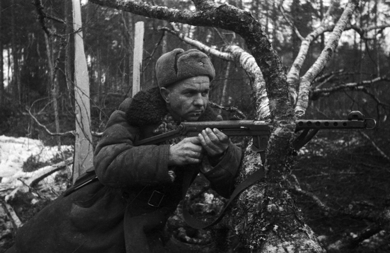 Почти вся «снежная кавалерия» полегла на полях сражений