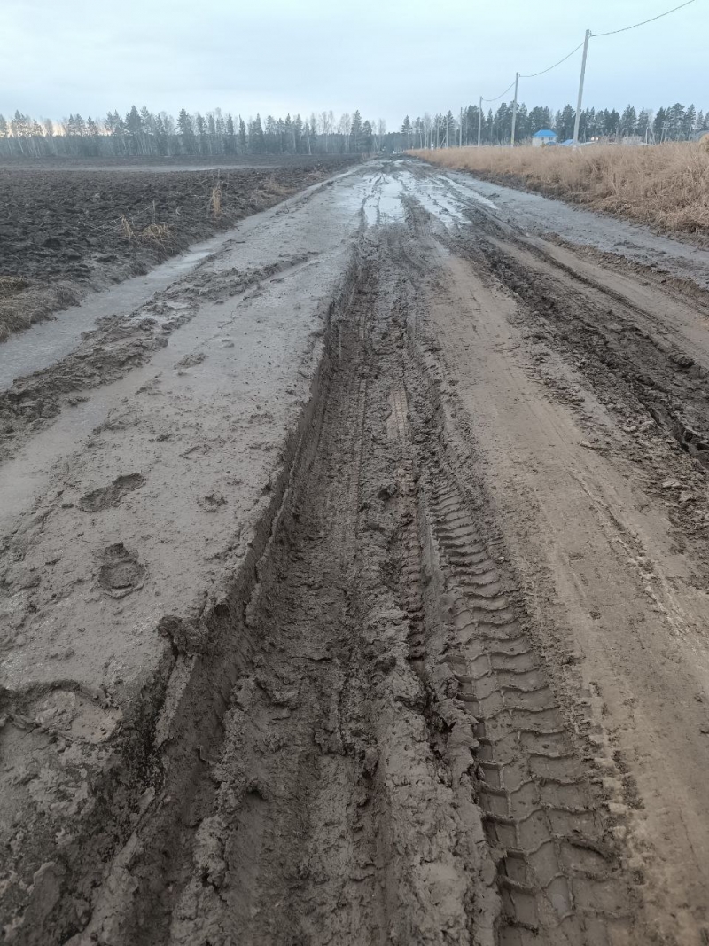 Жильцы коттеджного поселка Успенский просят властей просят сделать дорогу