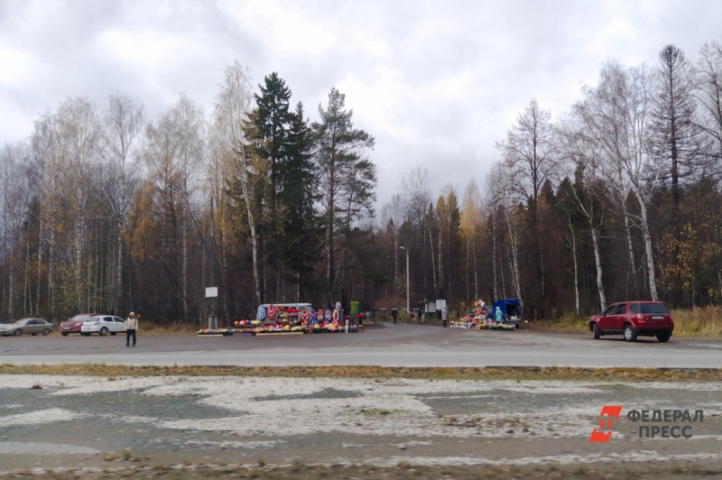 лес, кладбище