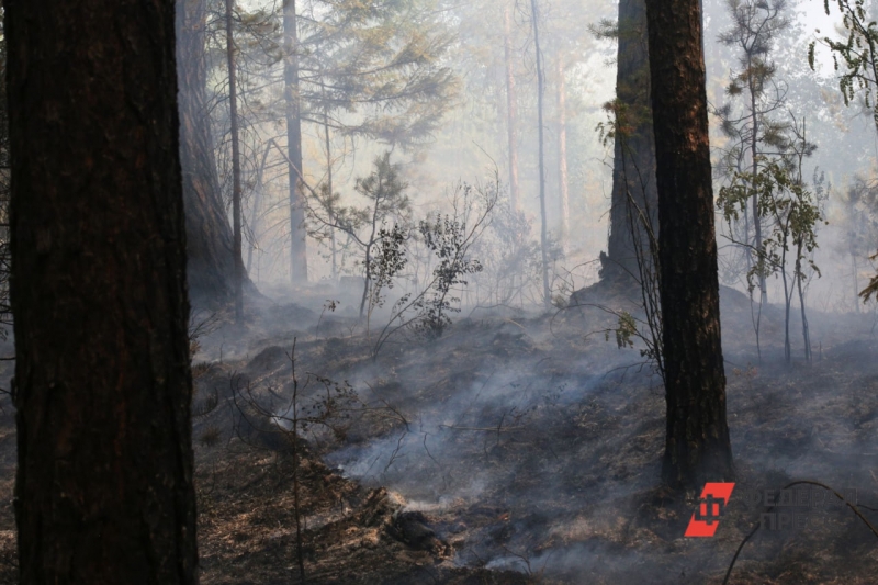 Лесной пожар