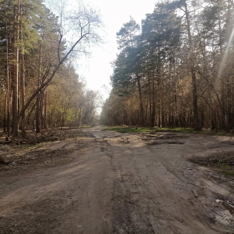 Весна