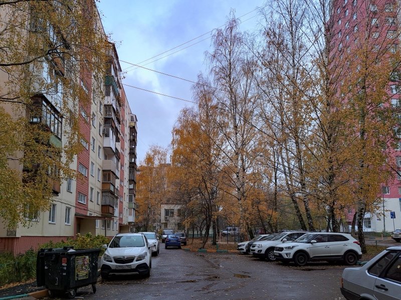 Дорога