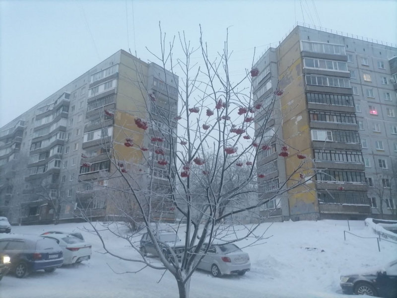 Непогода