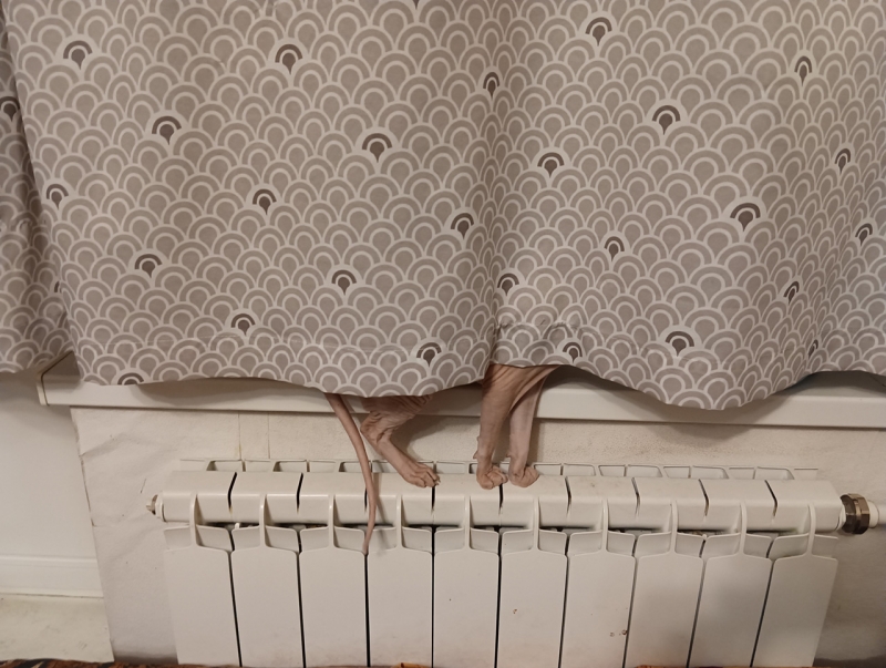 Нет отопления
