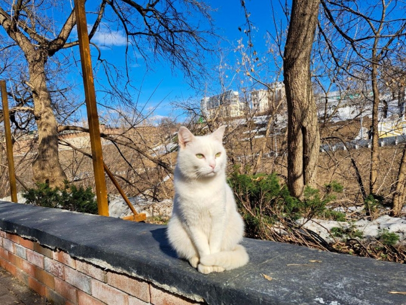 Погода