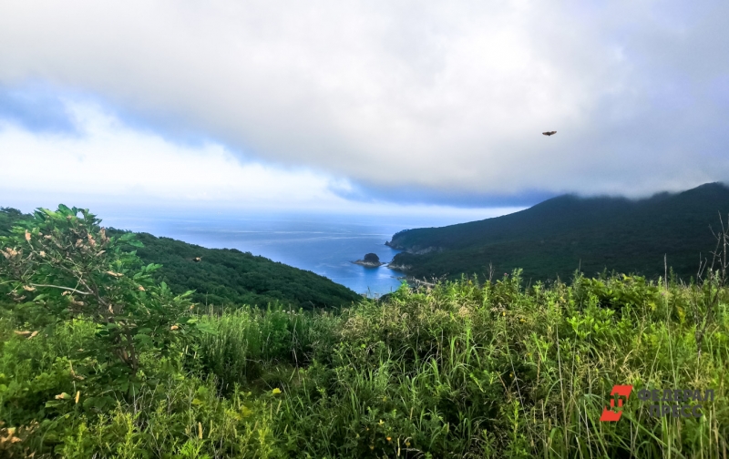 Дальний Восток