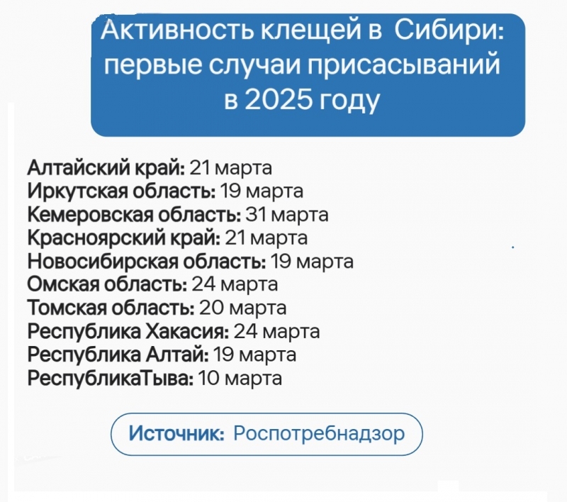 В Новосибирской области эпидемический сезон клещевых инфекций начинается 1 апреля