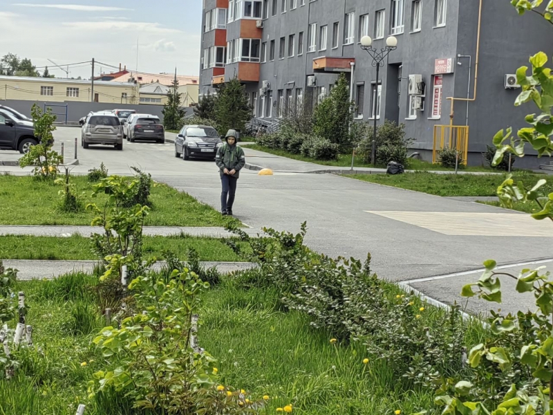 Газон во дворе