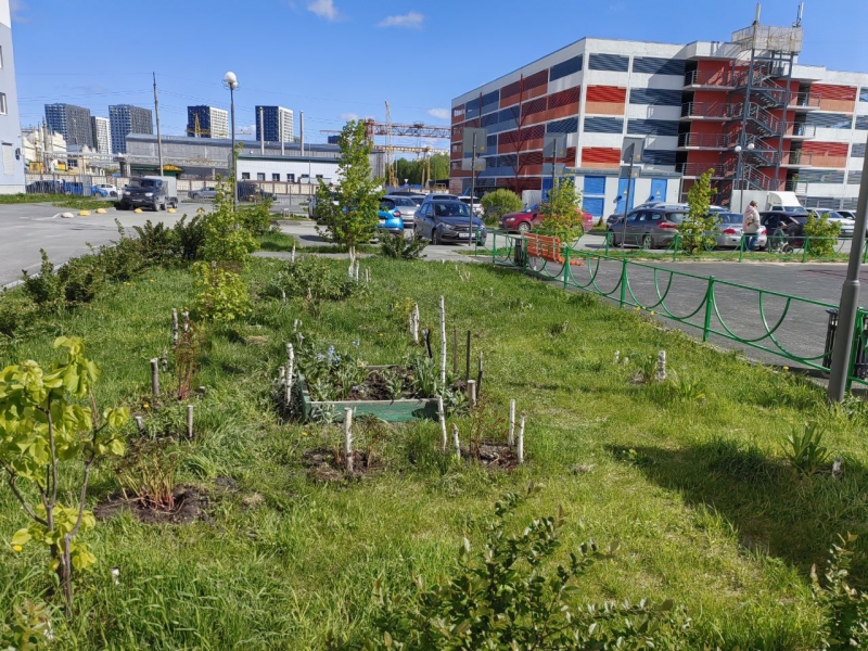На газоне во дворе жилого комплекса в Тюмени вырос частокол