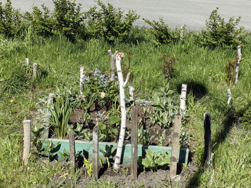 На газоне во дворе жилого комплекса в Тюмени вырос частокол