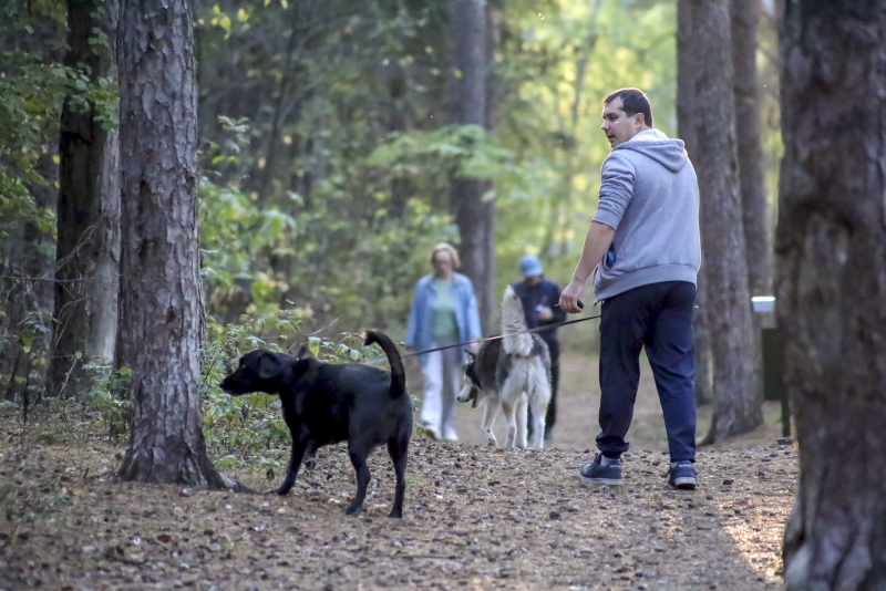мужчина с собакой в парке
