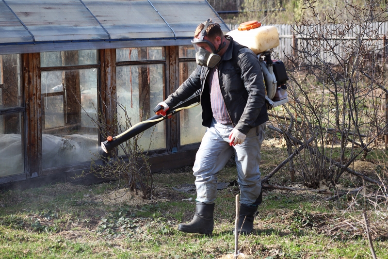 В Свердловской области от клещей обработано 6 тысяч гектаров