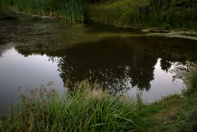 водоем