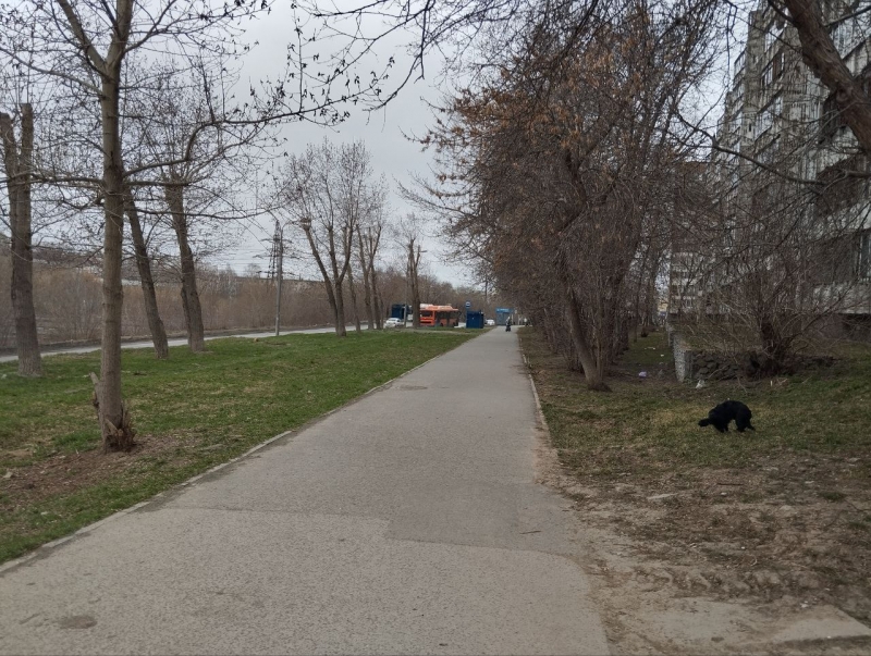 Погода
