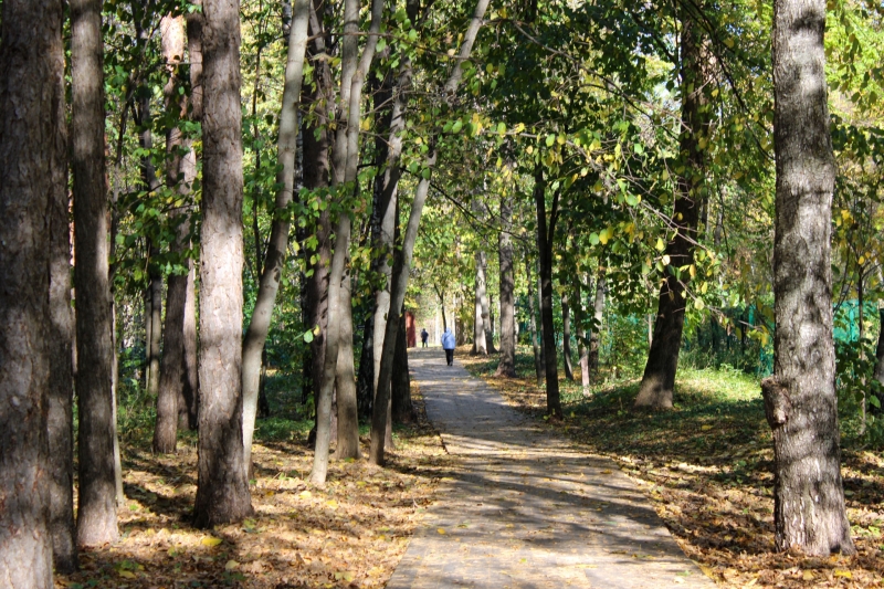Погода