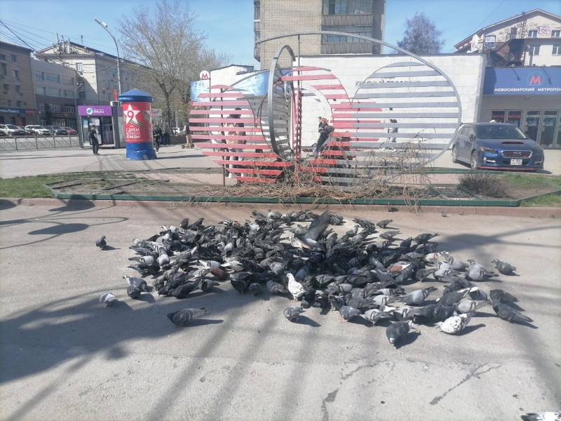 Погода