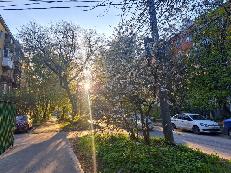 Погода