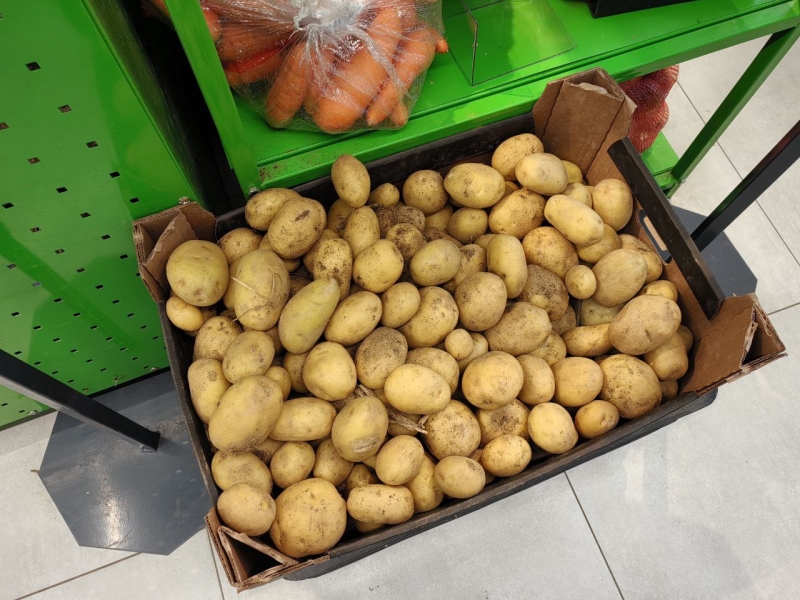картофель
