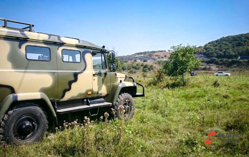авто в лесу